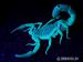 Scorpion Hottentotta trilineatus 