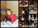 Border collie s PP
