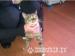 3yr old Tabby Cat Free to goodd home