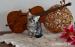 Piękna Koteczka Brytyjska Silver Tabby - Whiskas