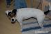JRT