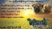 Bullmastiff/bullmastif