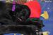 Labrador s PP