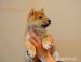 SHIBA INU S PP