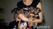 Krásné Yorkshire Terrier hledá nový domov   