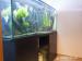 Akvárium 500L se skříňkou + příslušenství a ryby 
