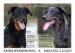 Beauceron s PP