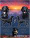 ŠTĚŇÁTKA FLAT COATED RETRIEVER S PP
