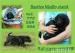 Flat Coated Retriever s PP