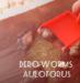 Živé krmivo, násady - Auloforus,Izya,Grindal,Moina