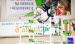 Zangersheide Mare